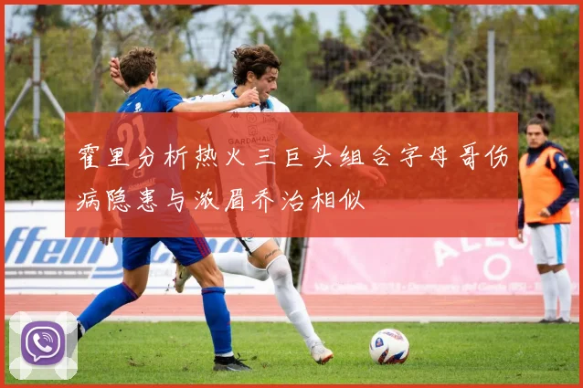霍里分析热火三巨头组合字母哥伤病隐患与浓眉乔治相似